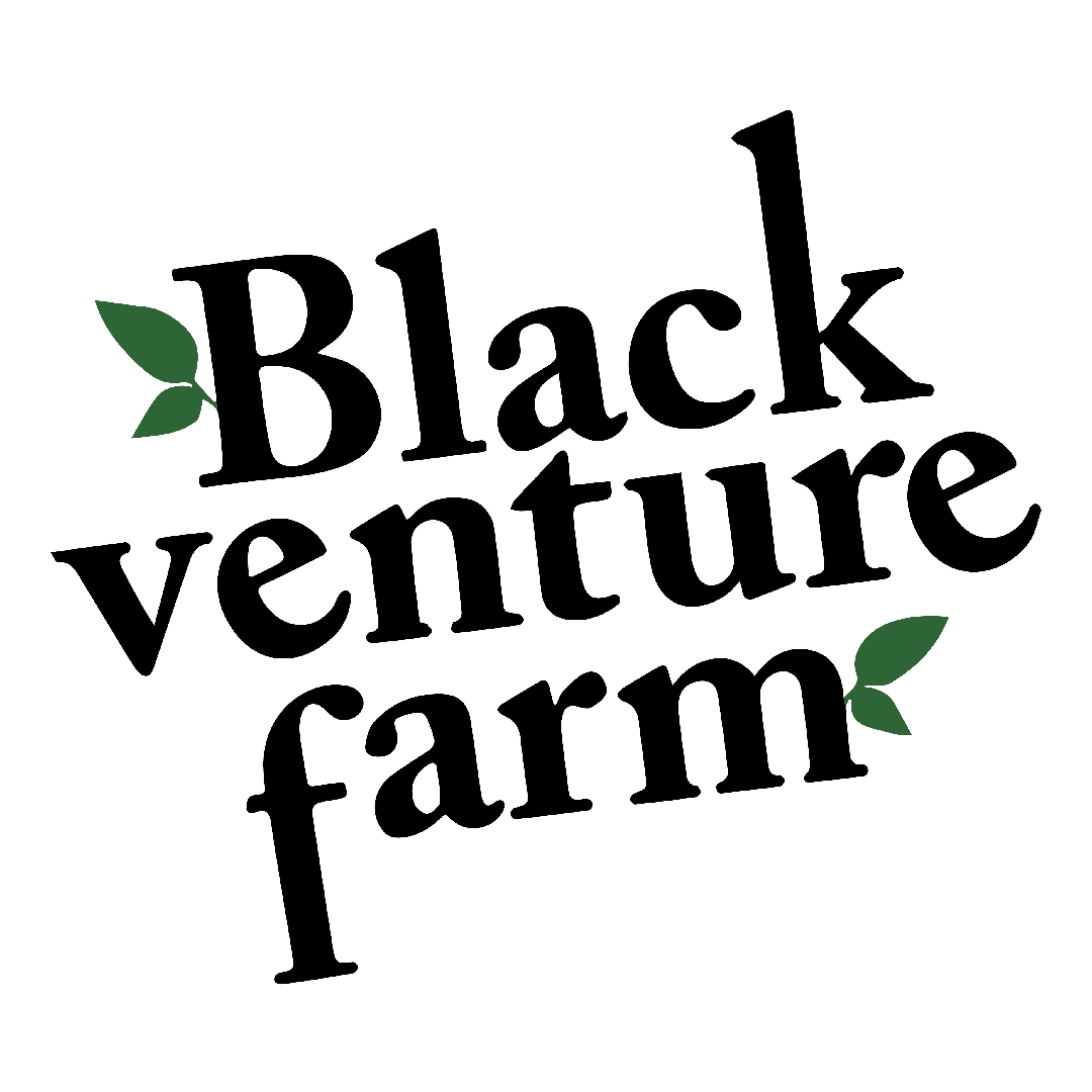 LOGO BLACK VENTURE-01